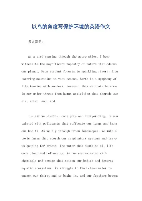 以鸟的角度写保护环境的英语作文