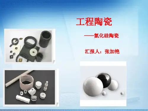 工程陶瓷 氮化硅陶瓷