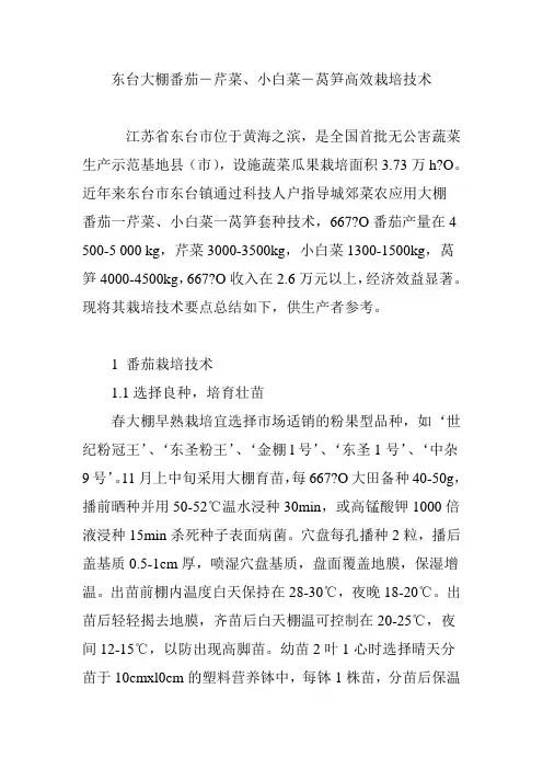 东台大棚番茄―芹菜、小白菜―莴笋高效栽培技术