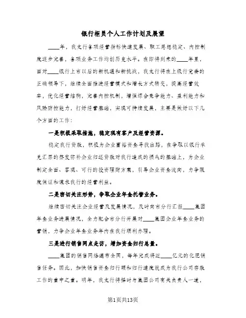 2024年银行柜员个人工作计划及展望（6篇）