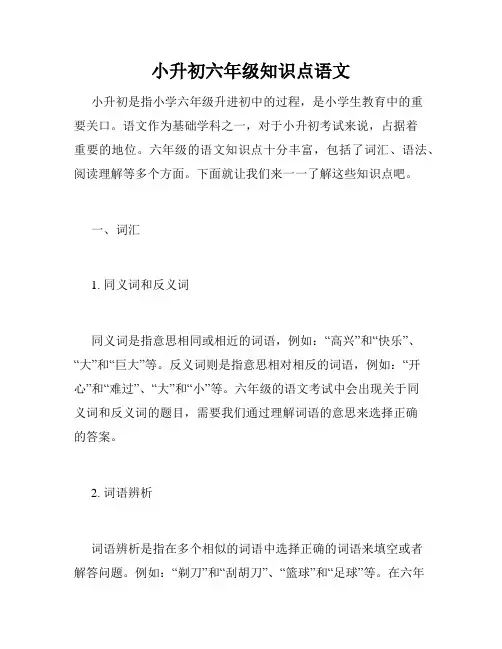 小升初六年级知识点语文