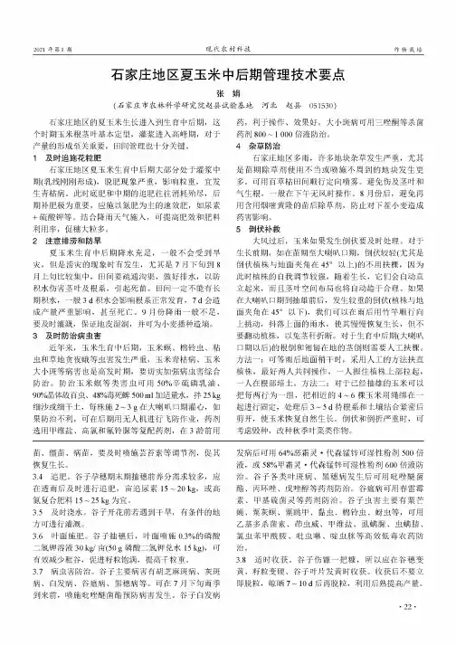 石家庄地区夏玉米中后期管理技术要点