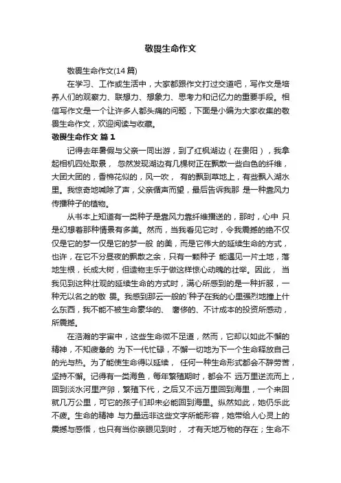 敬畏生命作文（14篇）