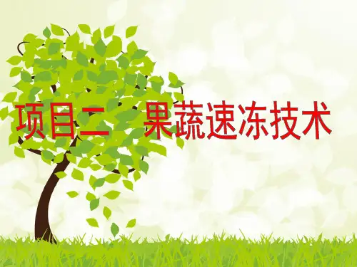 项目二 果蔬速冻技术
