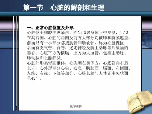 B超--正常超声心动图PPT课件
