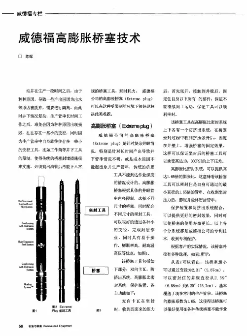 威德福高膨胀桥塞技术