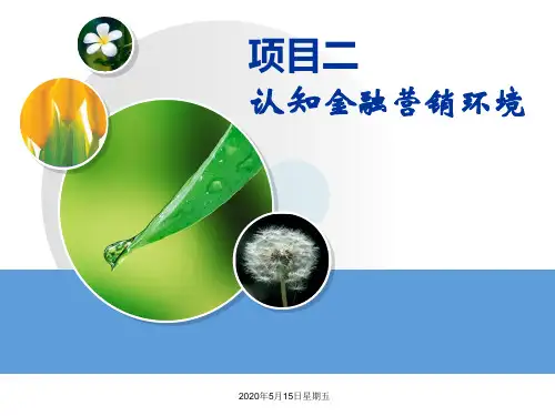项目二金融市场营销环境