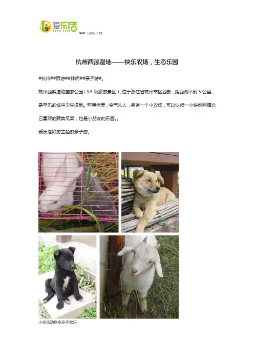 杭州西溪湿地——快乐农场,生态乐园