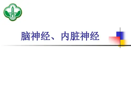 【人体解剖学PPT课件】脑神经、内脏神经