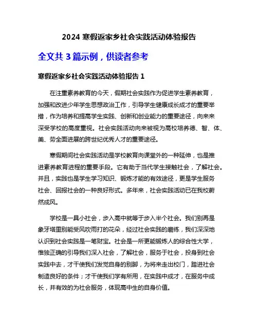 2024寒假返家乡社会实践活动体验报告
