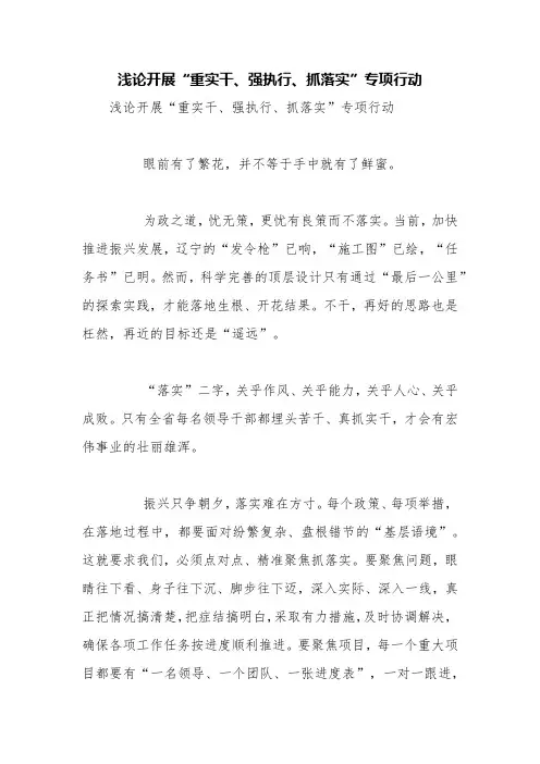 浅论开展“重实干、强执行、抓落实”专项行动【精品范文】