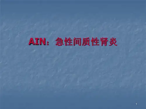 急性间质性肾炎课件