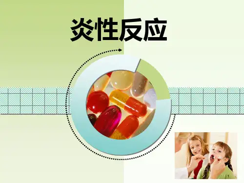 炎性反应PPT课件