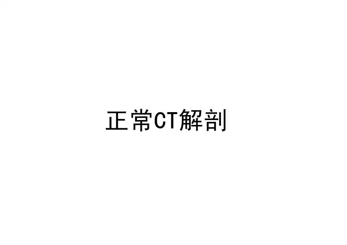 正常CT解剖图谱