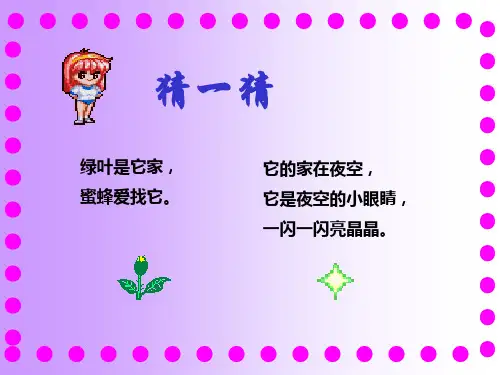 《鲜花和星星》精品优质课公开课比赛一等奖课件ppt(完美版)