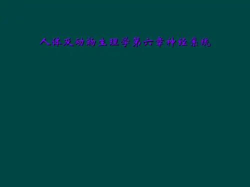 人体及动物生理学第六章神经系统