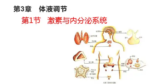 2023届高三生物一轮复习课件26讲体液调节