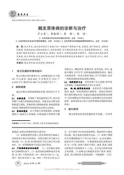 鹅支原体病的诊断与治疗