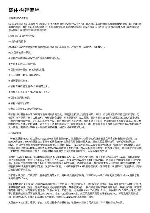载体构建流程