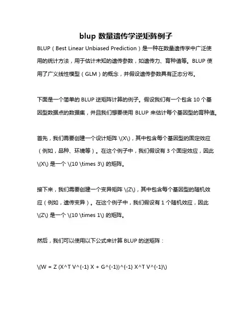 blup 数量遗传学逆矩阵例子