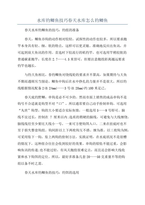 水库钓鲫鱼技巧春天水库怎么钓鲫鱼
