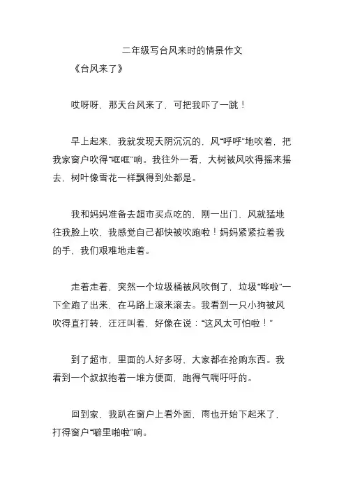二年级写台风来时的情景作文