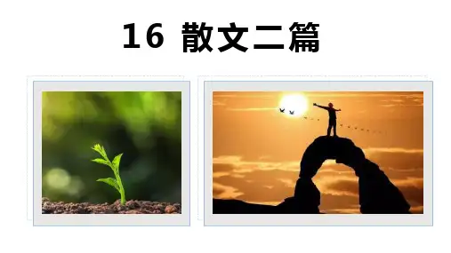 16 散文二篇《永久的生命》《我为什么而活着》)-2021-2022学年八年级语文上册课件(PPT)
