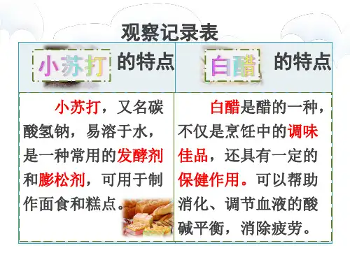 教科版教材《小苏打和白醋的变化》专家课件1
