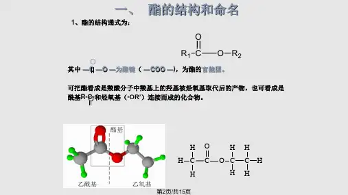 酯和油脂学习.pptx