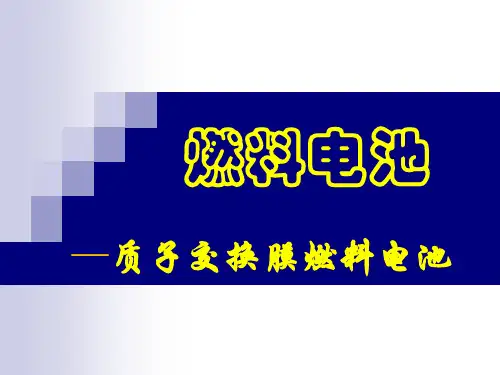先进电池材料之燃料电池-质子交换膜燃料电池精选全文完整版