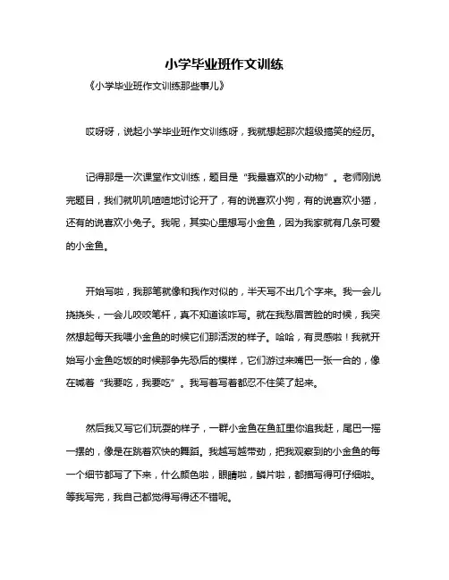 小学毕业班作文训练