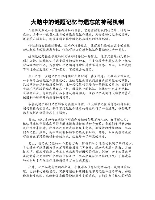 大脑中的谜题记忆与遗忘的神秘机制