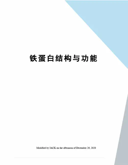 铁蛋白结构与功能