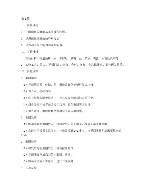 面包发酵小实验报告(3篇)