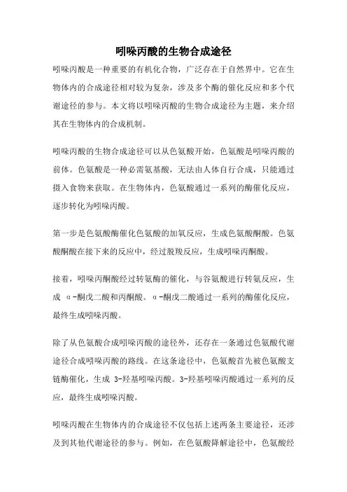 吲哚丙酸的生物合成途径