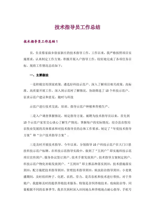 技术指导员工作总结