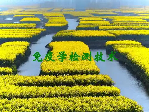 免疫学检测技术