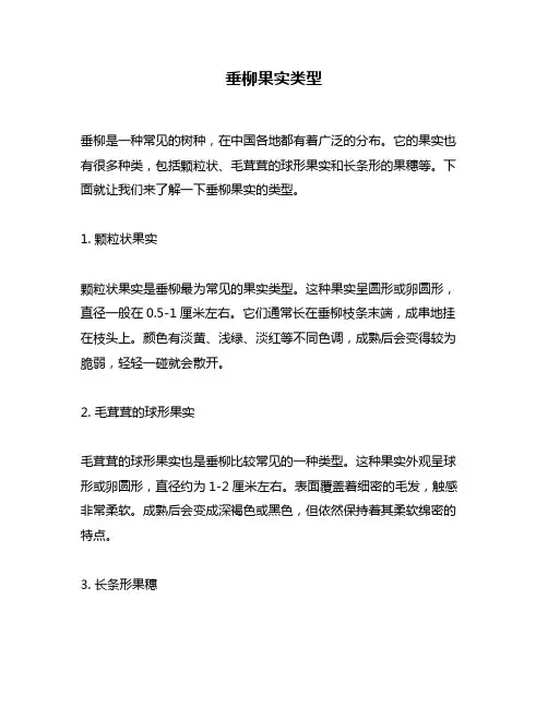 垂柳果实类型