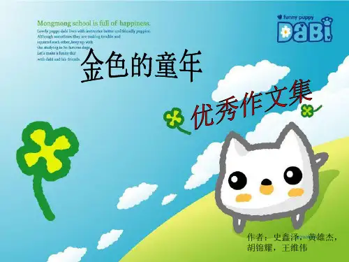 《优秀作文集》PPT课件