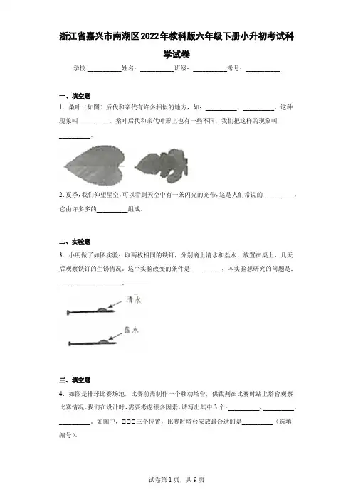 浙江省嘉兴市南湖区2022年教科版六年级下册小升初考试科学试卷