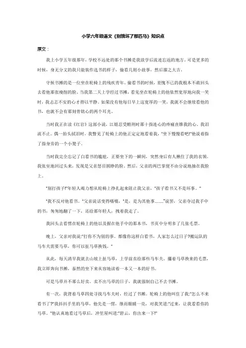 小学六年级语文《别饿坏了那匹马》知识点
