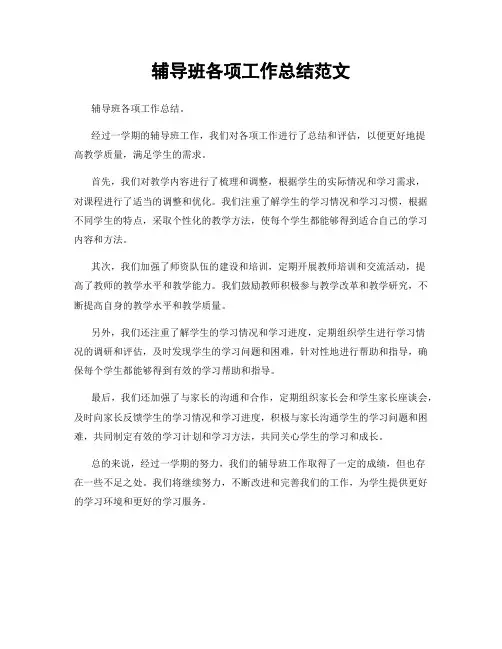 辅导班各项工作总结范文