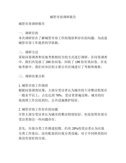 城管市容调研报告