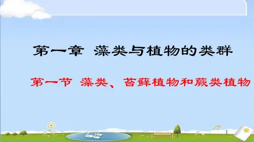 2024年新人教版生物七年级上册课件 第一章 藻类与植物的类群 2.1.1 藻类、苔藓植物和蕨类植物