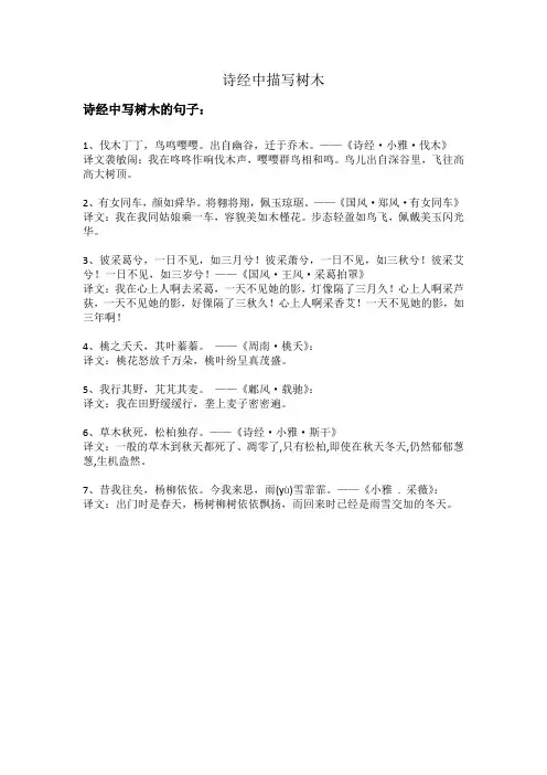 诗经中描写树木