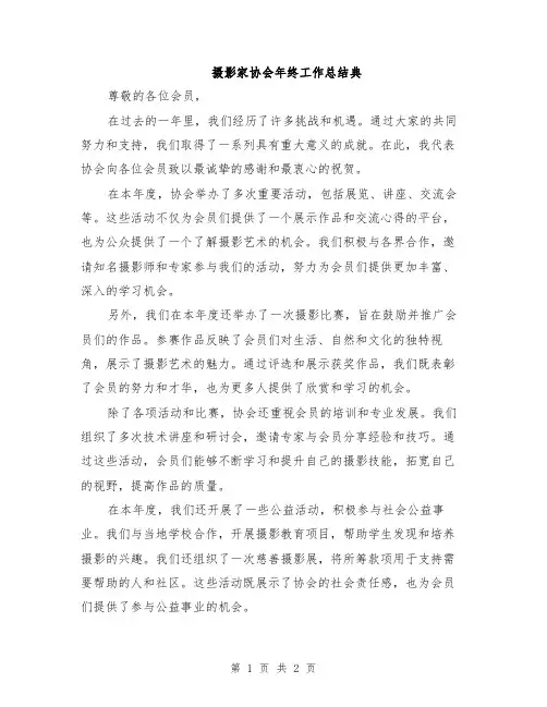 摄影家协会年终工作总结典