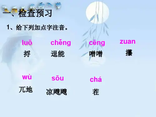 10《柳叶儿》PPT课件