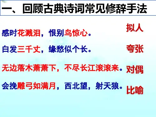 古诗词鉴赏之修辞手法