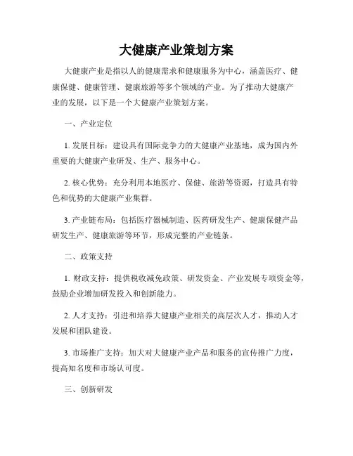 大健康产业策划方案