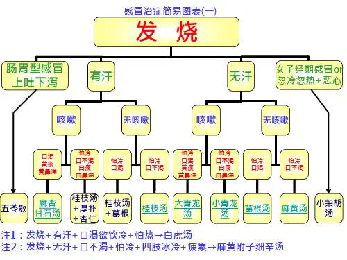 倪海厦经方治感冒简易图表ppt模板